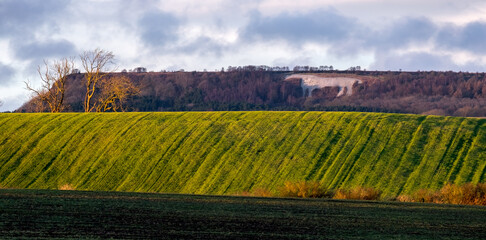 The Kilburn White Horse - a local landmark and superb walking area - Sutton Bank North Yorkshire UK