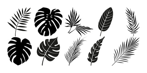 Palm leaf Silhouette, Set of Palm leaves, Leaf Silhouette isolated PNG on a Transparent background, Palm leaf set