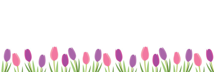 spring flowers seamless border. vector cartoon women's day repetitive frame with tulips on transparent background