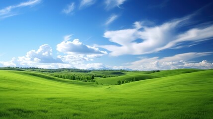 a field of green grass under a blue sky