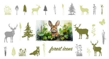 Forest icons. Various forest animals drawn in detail. Colorful animal and plant silhouettes isolated on a white background.
