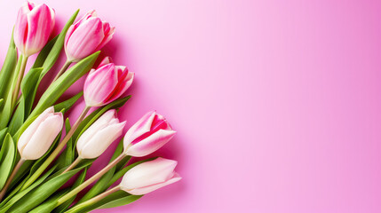 Vibrant Pink and White Tulips Arranged on a Pastel Pink Background