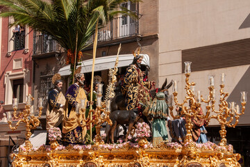 Hermandad de la Borriquita, semana santa de Sevilla	