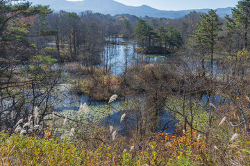 日本　福島県耶麻郡北塩原村、裏磐梯高原の中瀬沼展望台から見える中瀬沼