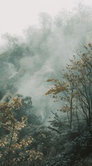 Mystical forest with mountain with thick fog. Soft Minimalist Backdrops for smartphones. Quiet Backgrounds. Great for versatile social media content.