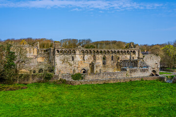 Ruins of the medieval Bishops Palace in St Davids Pembrokeshire, Wales, UK - 733136633
