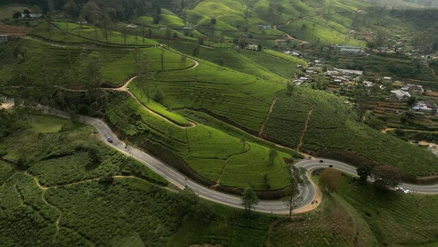 A highway among the perfect patterned tea plantations around Nuwara Eliya in Sri Lanka