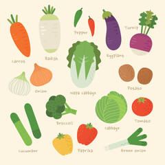 Vector green vegetable illustration set
