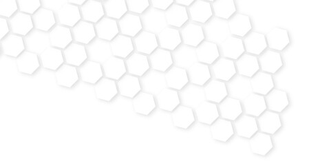 Abstract White Hexagonal Background. Luxury White Pattern. hexagon concept design abstract technology background.honeycomb white Background,geometric mesh cell texture.