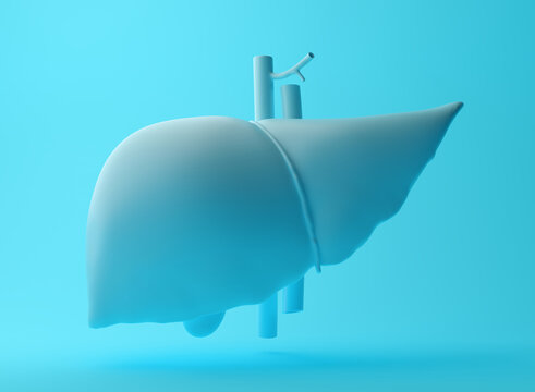 3D render of abstract blue human liver on the blue background. Medical illustration.  