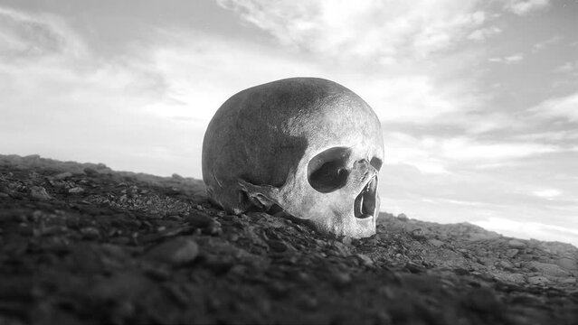 A black and white film style sequence featuring a baron landscape and human skull 