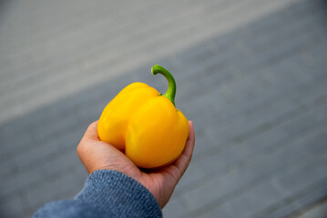 man hand holding yellow pepper on blured background