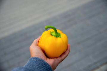 man hand holding yellow pepper on blured background