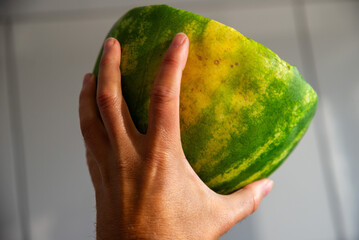rotten watermelom in the man hand