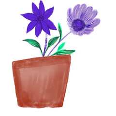 purple flowers in pot