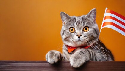 portrait of a cat scottish straight with a banner in paws on a orange background