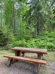 wooden bench in forest