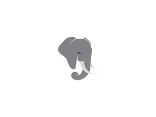 Elephant face illustration on white background