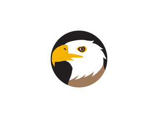 Eagle on a illustration