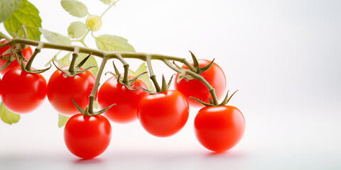 Cherry tomatoes on a vine on a white background