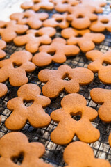 Cooling Gingerbread Cookies on Wire Rack in Modern Kitchen