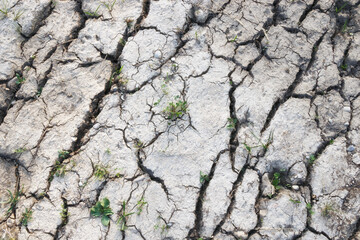 Dry ground with cracks, climate change, hot summer