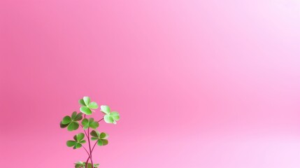 St. Patrick's Day abstract pink background decorated with shamrock leaves. Patrick Day pub celebrating