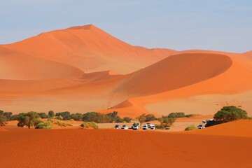 Fototapeta na wymiar Namib-Naukluft national park, desert landscape, the highest world dunas. Parking cars at famous road trip spot.