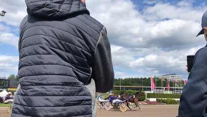 horse race spectators
