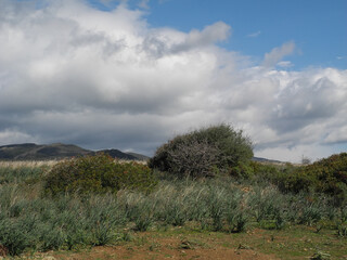 Sardegna