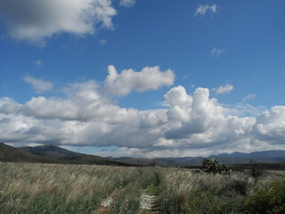 Sardegna