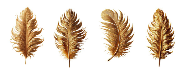 set of golden feather. isolate on transparent background - obrazy, fototapety, plakaty