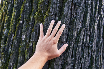A man's hand touching the textured bark of a tree in a natural outdoor setting, emphasizing human...