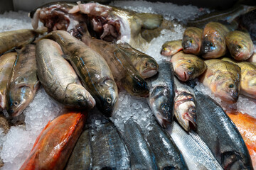 Fresh fish in ice for sale in an open air market background texture. Variety of seafood. Ad template