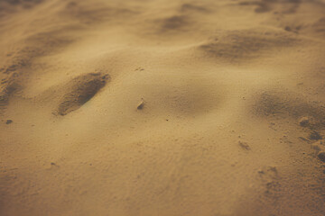 Fototapeta na wymiar a view of a sand dune. Generative AI