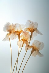 White and beige Iris flowers. Generative AI