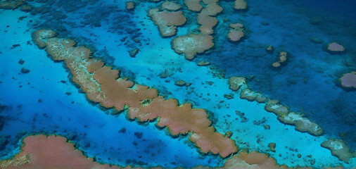 Fototapeta na wymiar Aerial view on Great Barrier Reef close up on corals in different shades of blue and turqouise color, The Great Barrier Reef, AI generated