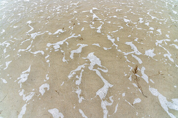 Green algae in sea water on a beach