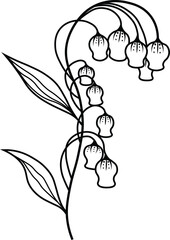 Lily of The Valley Flower Vector Drawing 