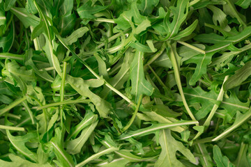 Fresh leaves of arugula as a background.
