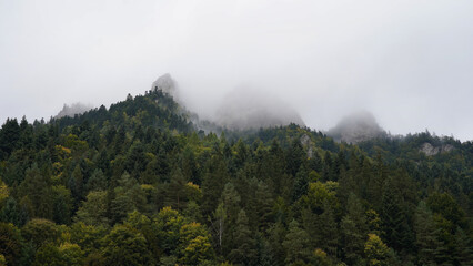 September Pieniny, Three Crowns slope in mist, autumn