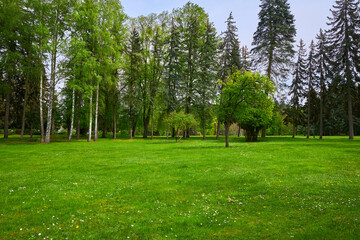 Fototapeta na wymiar Scenic view of a beautiful landscape garden with a freshly mowed grass lawn