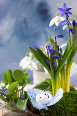 Spring flowers- blue and white snowdrops, easter eggs and feathers. Easter template, spring background, greeting card, 8 march, women's day, mother's day, easter background