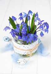Spring flowers-  blue  snowdrops, easter eggs and feathers., white  background. Easter template, spring background, greeting card.8 march, women's day, mother's day