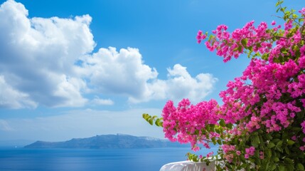 Beautiful landscape of Santorini with blue sky and pink flowers