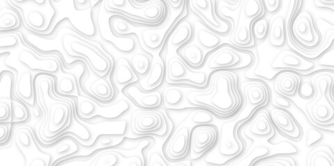 Abstract geometric layered curve line white background. 3d white papercut topography relief. Cover layout template. paper cut topography soft background banner texture. light liquid wave illustration.