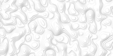 Abstract geometric layered curve line white background. 3d white papercut topography relief. Cover layout template. paper cut topography soft background banner texture. light liquid wave illustration.