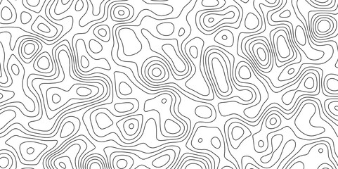 Abstract white topography vector background. Topographic map. Geographic mountain relief. counter map wavy line paper textrue. grid curve line abstract vector illustration