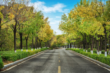 Spacious Urban Plaza with Modern Street Lamps and Blue Sky