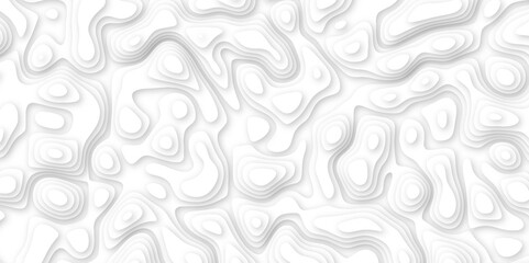 Abstract geometric layered curve line white background. 3d white papercut topography relief. Cover layout template. paper cut topography soft background banner texture. light liquid wave illustration.
